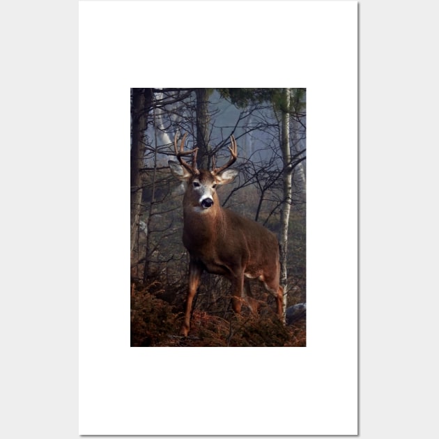 Buck on ridge portrait - White-tailed Deer Wall Art by Jim Cumming